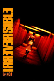 Irreversible (2002)